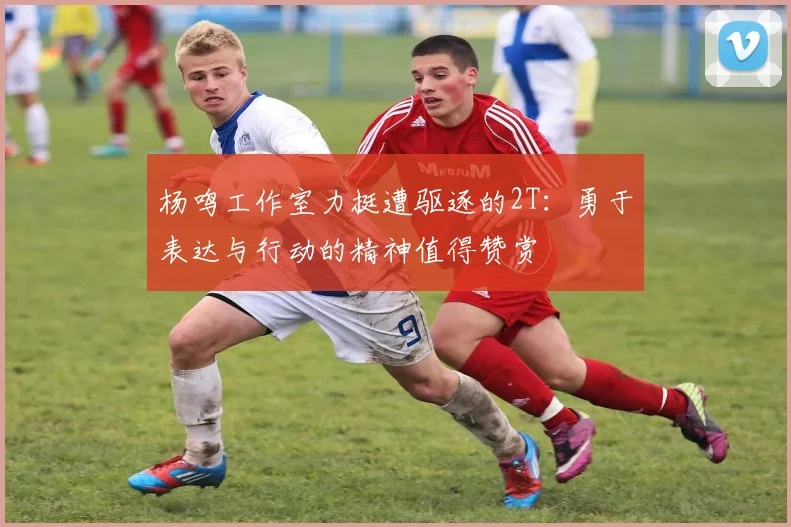 杨鸣工作室力挺遭驱逐的2T：勇于表达与行动的精神值得赞赏