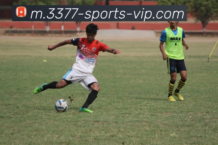 3377体育平台生态图